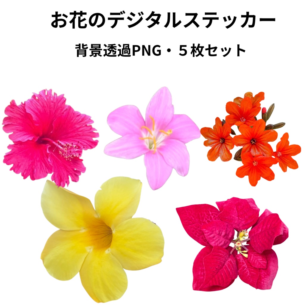 お花のデジタルステッカー｜背景透過PNG 5枚セット