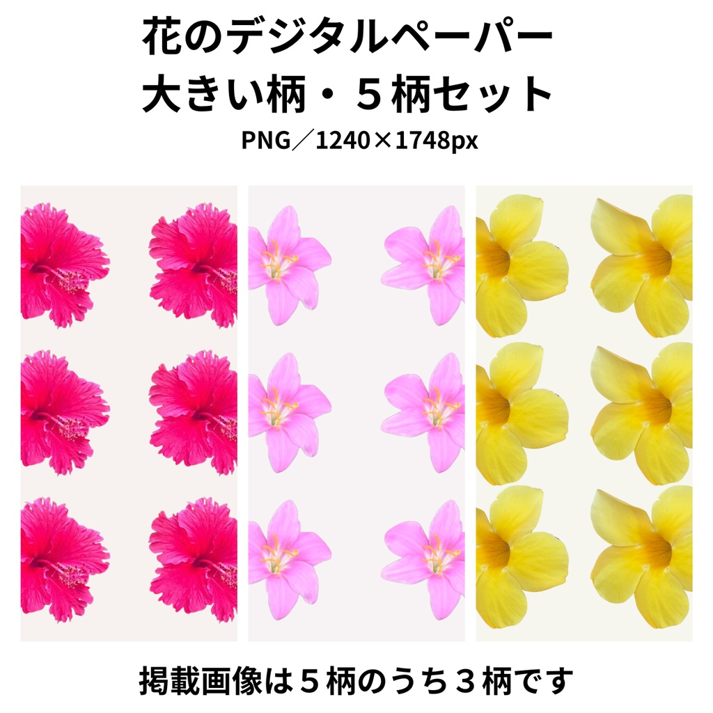 沖縄の花 デジタルペーパー｜大きい柄５種セット（PNG）