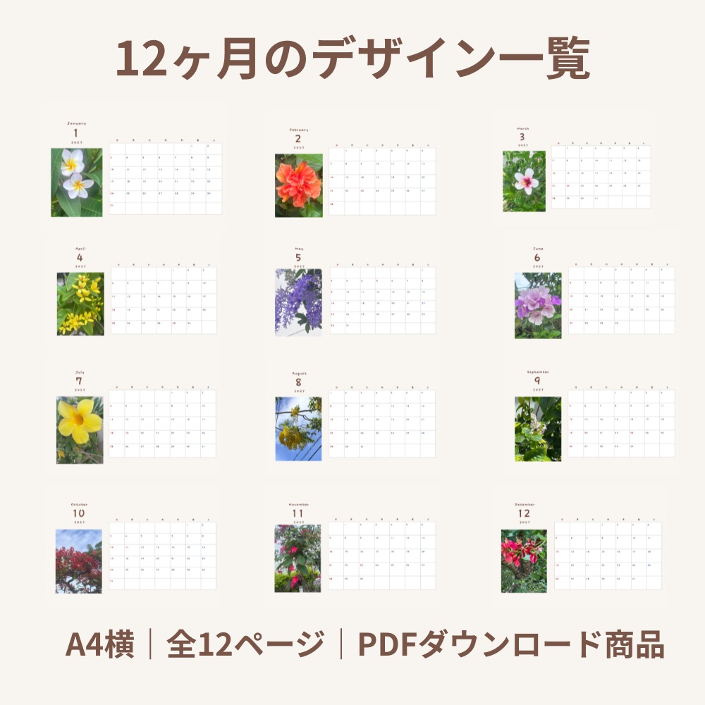 2027年 沖縄の花カレンダー|A4横・全12ヶ月|印刷用PDF