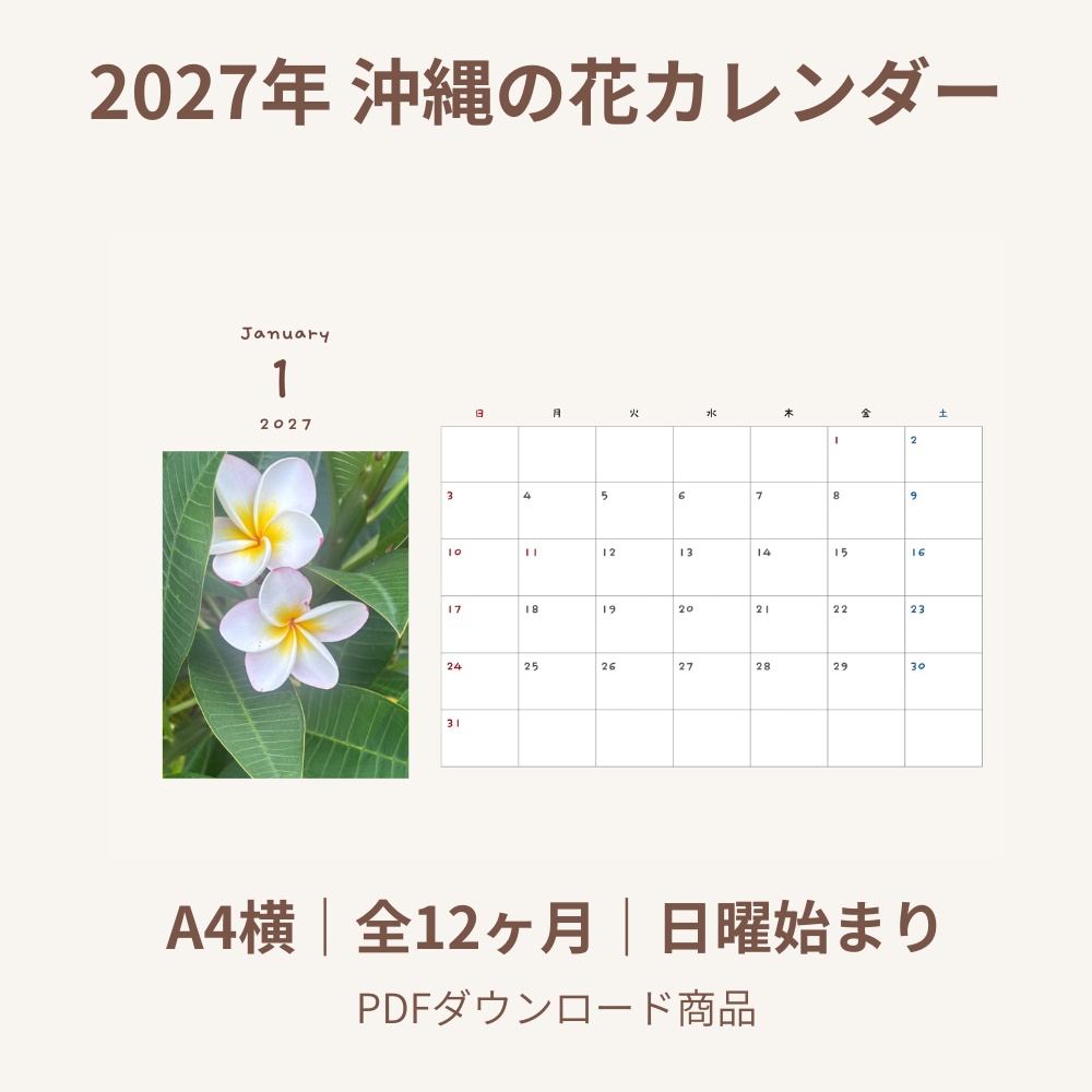 2027年 沖縄の花カレンダー｜A4横・全12ヶ月｜印刷用PDF