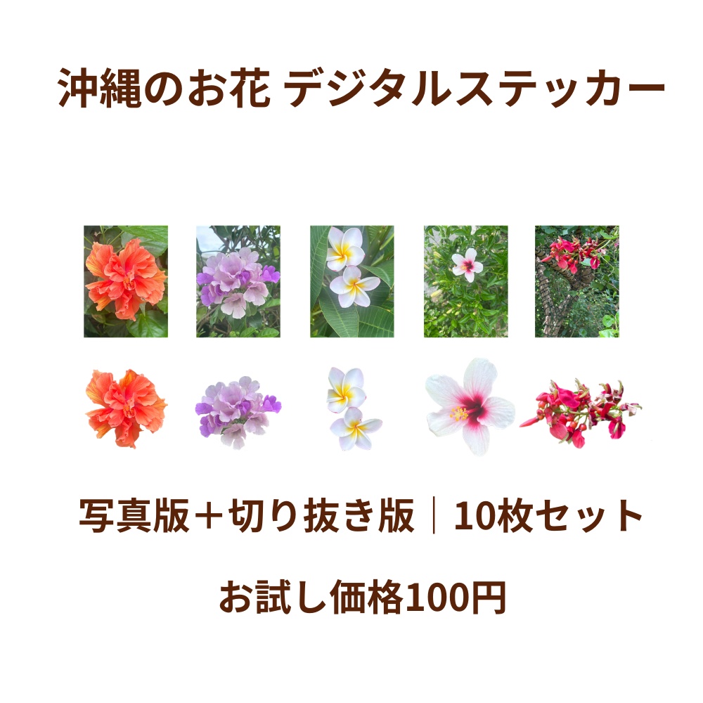 【商用利用可／条件あり】沖縄のお花 デジタルステッカー10枚セット｜写真版＋切り抜き版