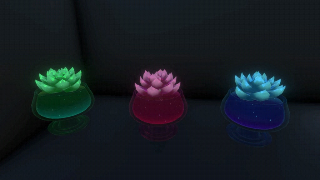 クリスタル エケベリア // Crystal Echeveria