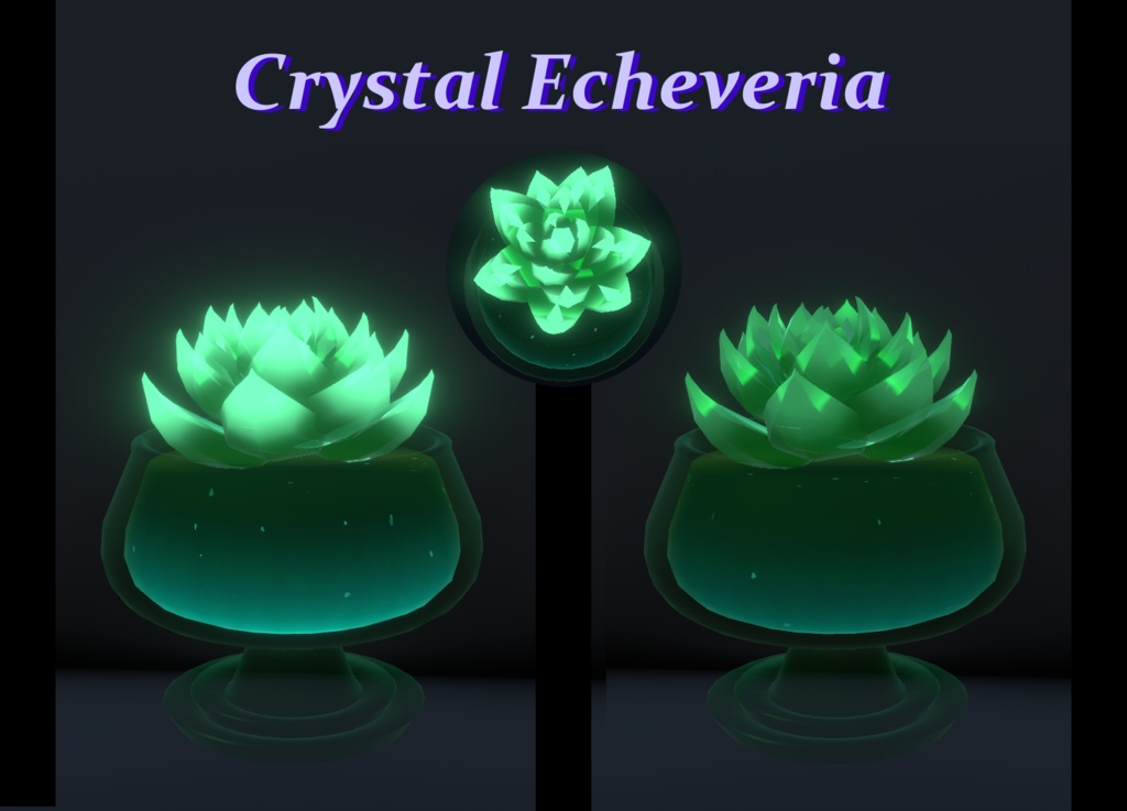 クリスタル エケベリア // Crystal Echeveria