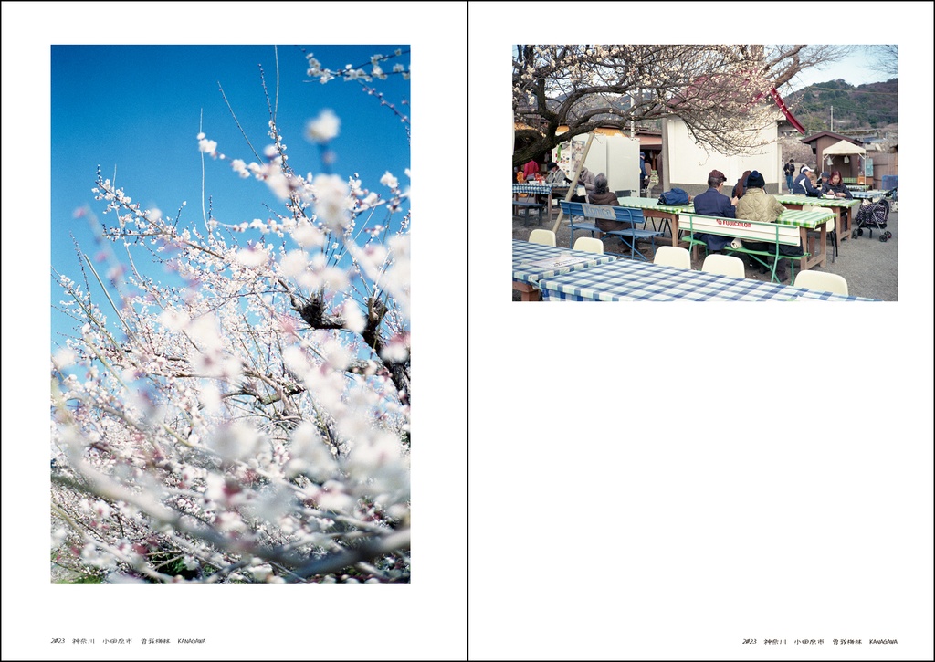 フジカラーベンチの旅 1 / Fujicolor Bench Journey 1