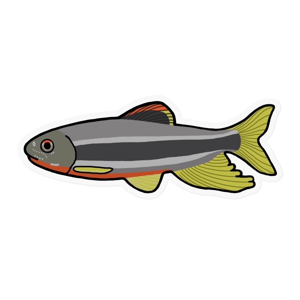 カワムツ ステッカー