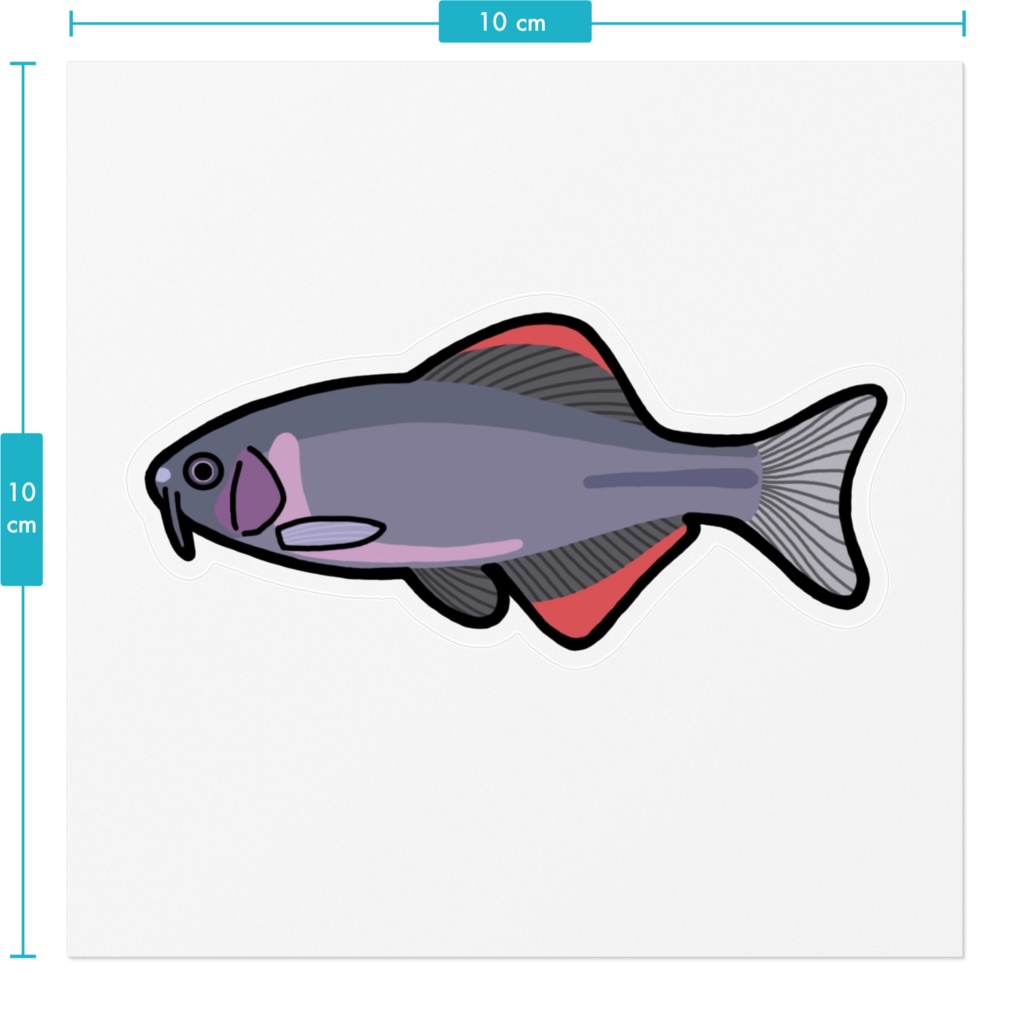 ヤリタナゴ ステッカー