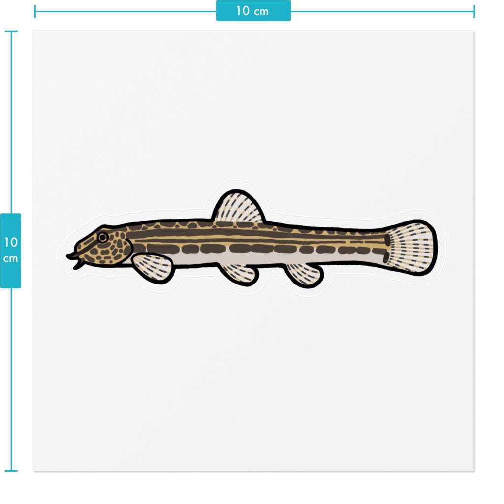 タンゴスジシマドジョウ ステッカー