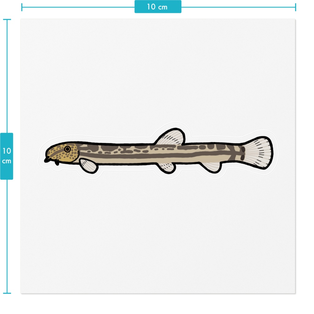 アジメドジョウ クリアステッカー