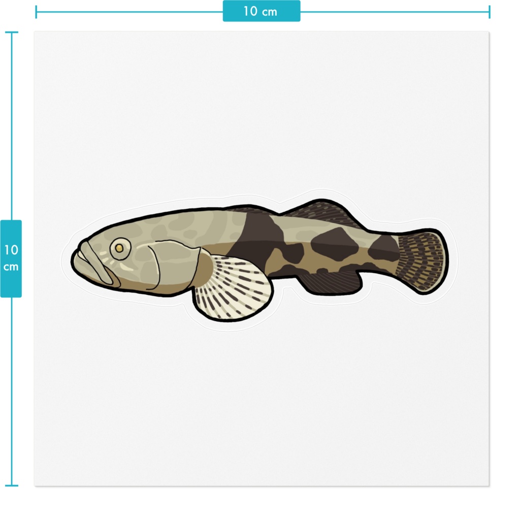 ドンコ ステッカー