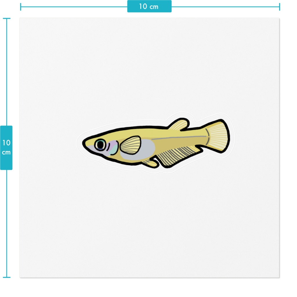 ミナミメダカ ステッカー