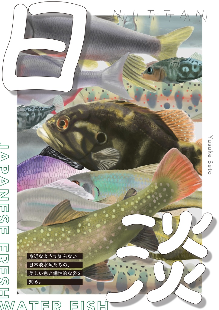 日淡 -NITTAN- 