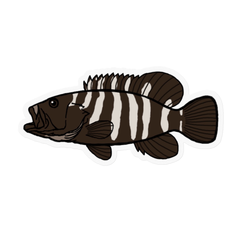 マハタモドキ クリアステッカー