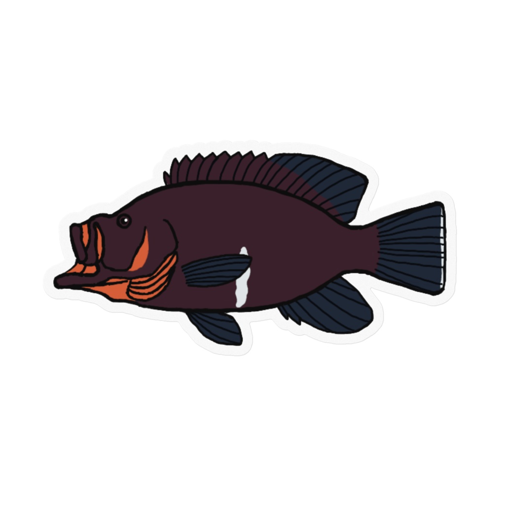 クロハタ クリアステッカー