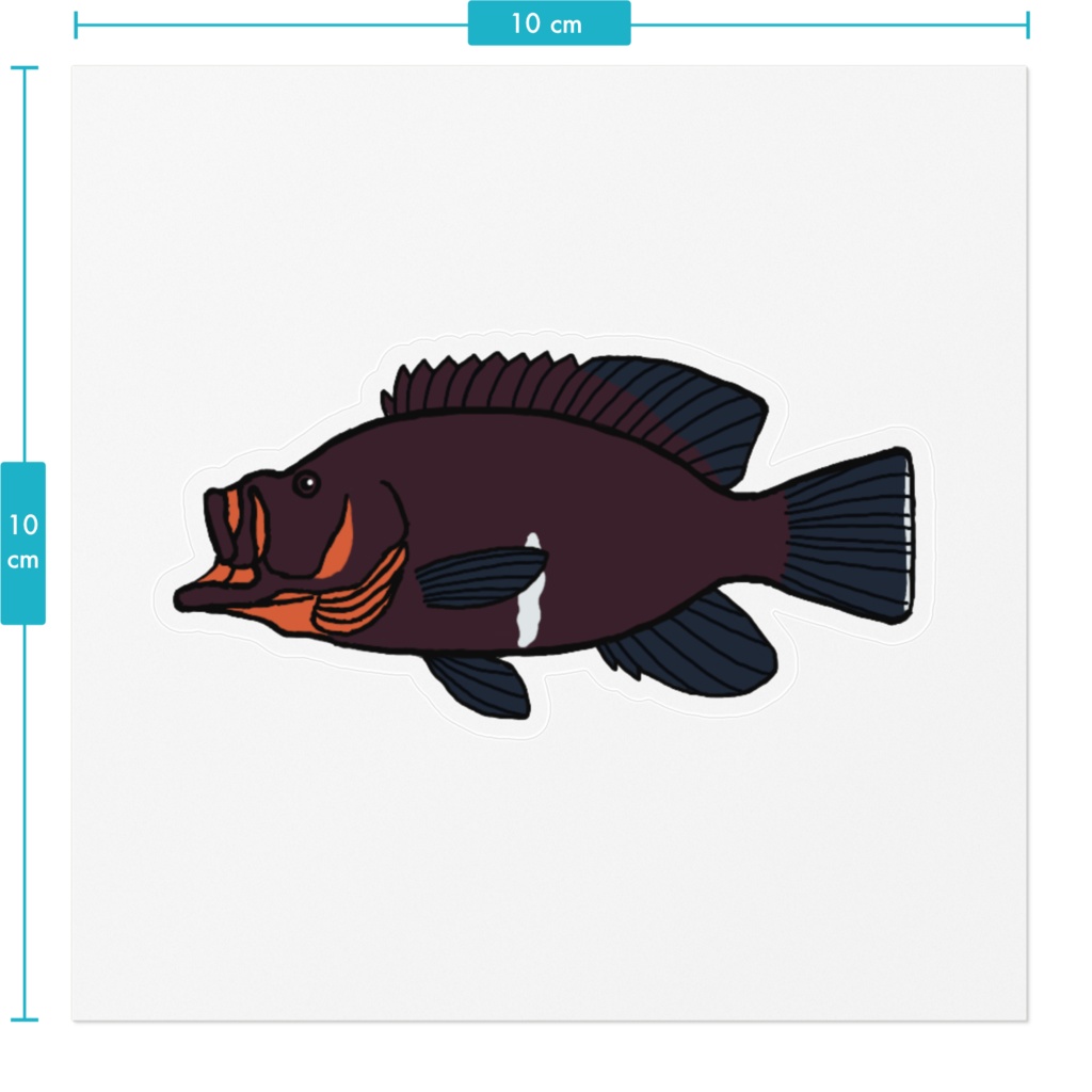 クロハタ クリアステッカー