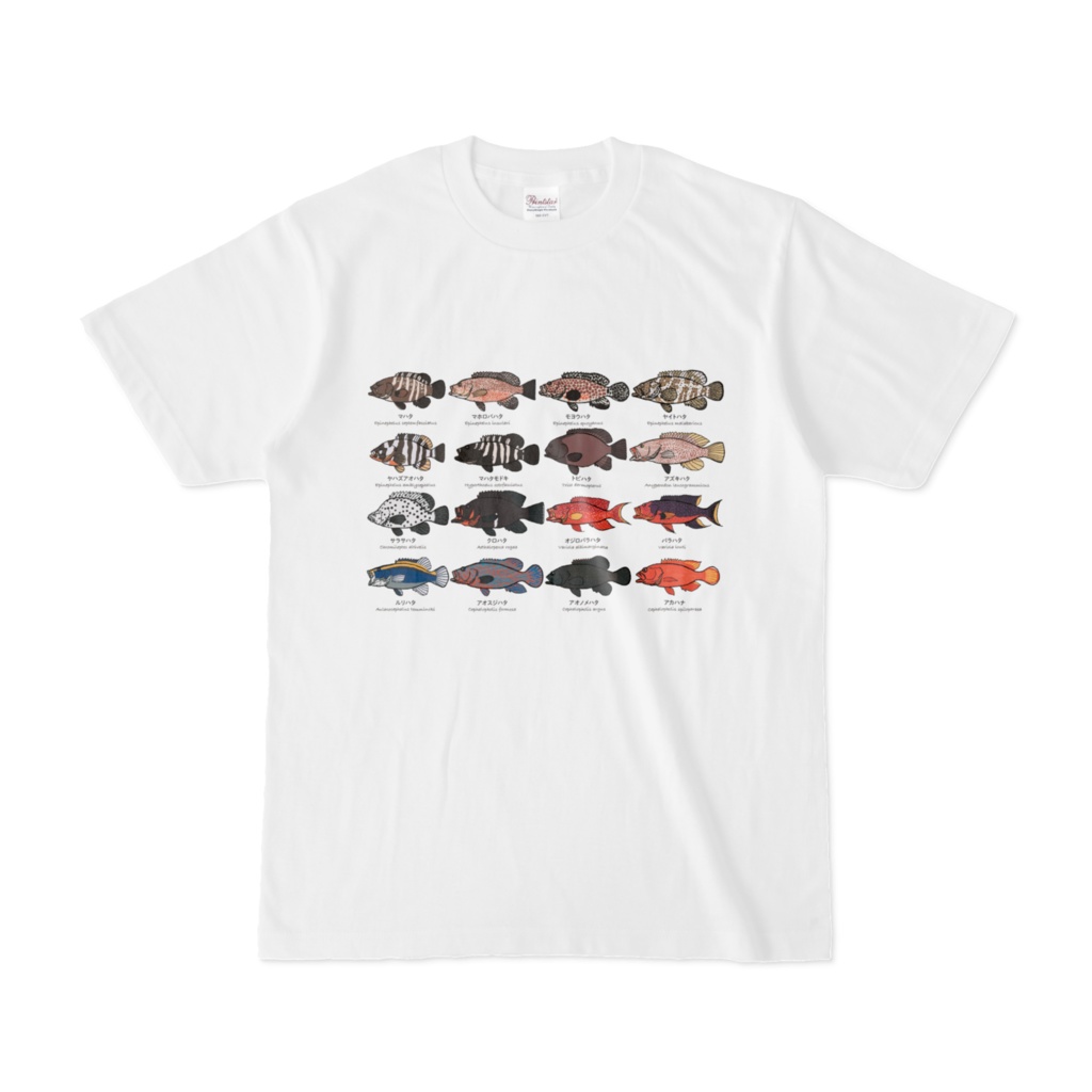 ハタスケッチTシャツ その3