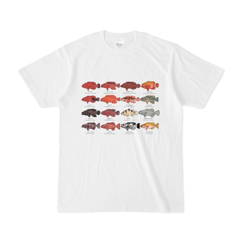 ハタスケッチTシャツ その4