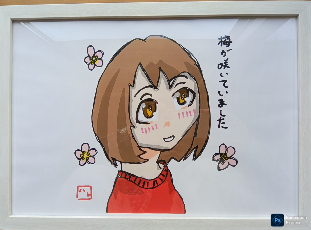 梅が咲いていました