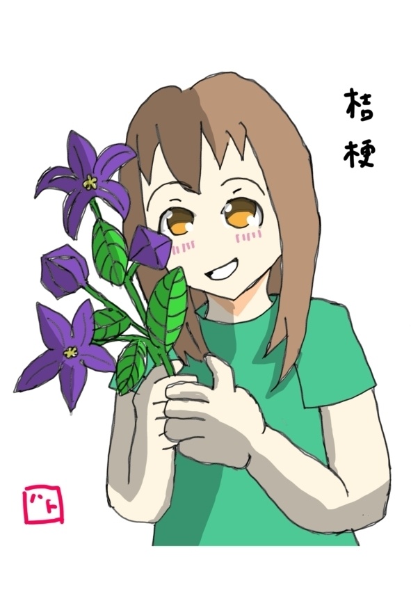 桔梗(イラスト絵手紙·はがきサイズ)