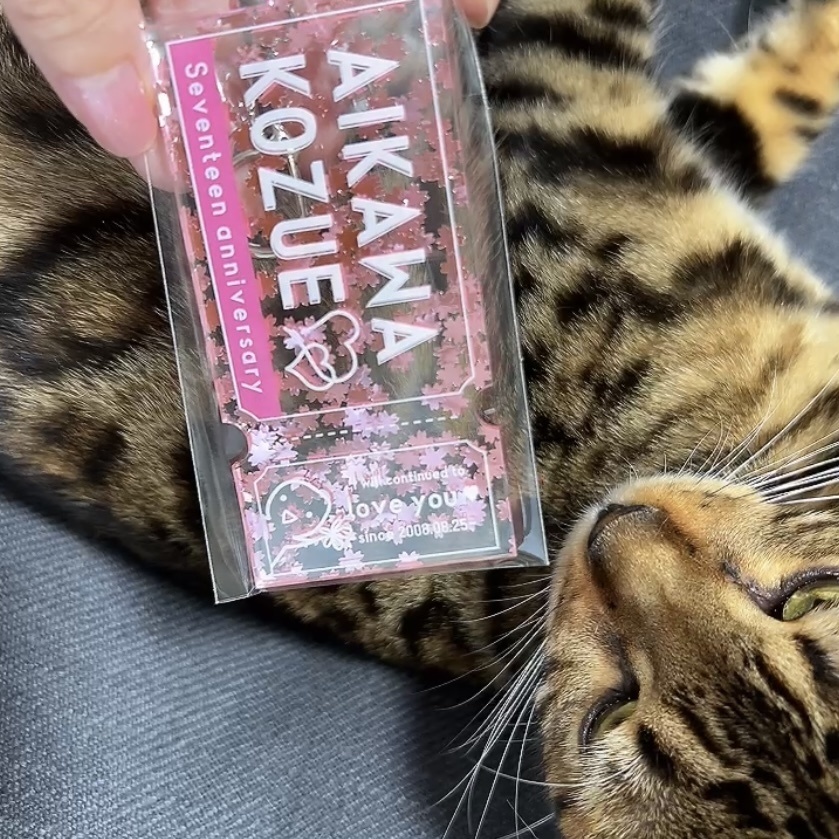 17周年 桜アクリルキーホルダー