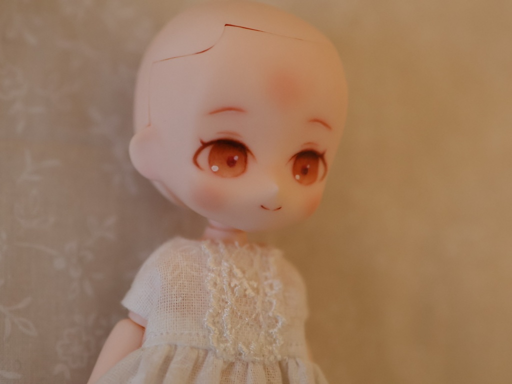 ドールヘッド