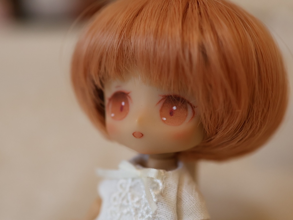 ドールヘッド