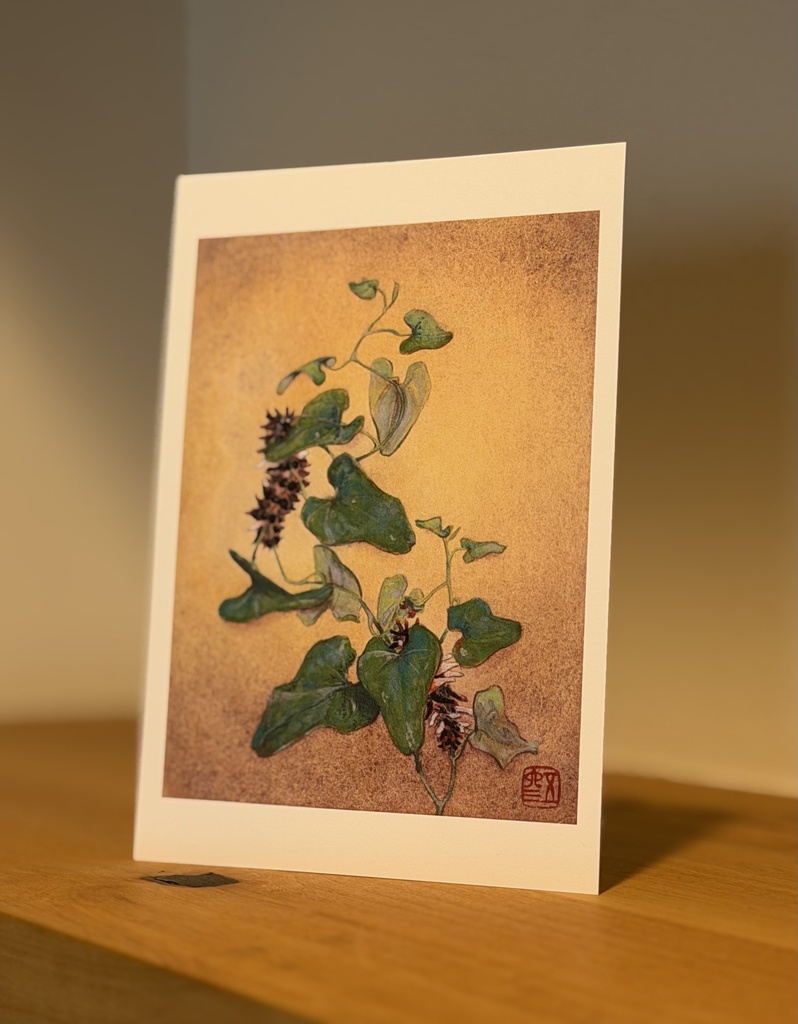 ジャコウアゲハ　ポストカード