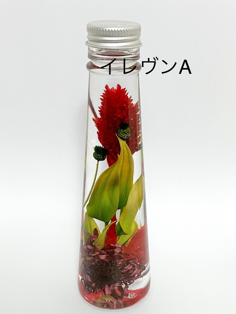 ハーバリウム【穏やか貴族】