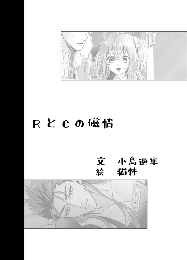 キャスぐだ♀挿絵付き小説アンソロジー「N×P」