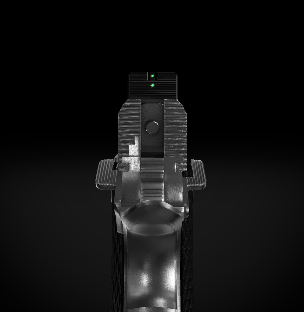 【VRChat想定】NIGHTHAWK CUSTOM Professional