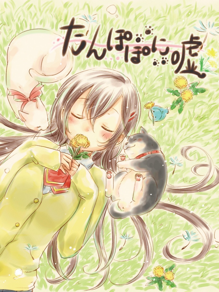 たんぽぽに嘘