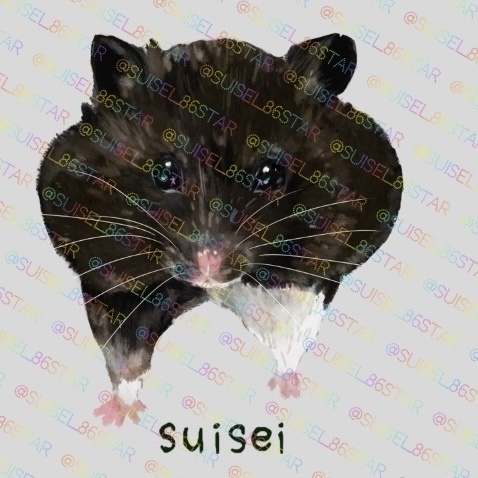 もふもふキーホルダー クロクマハムスター