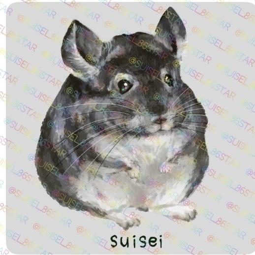 もふもふキーホルダー チンチラ