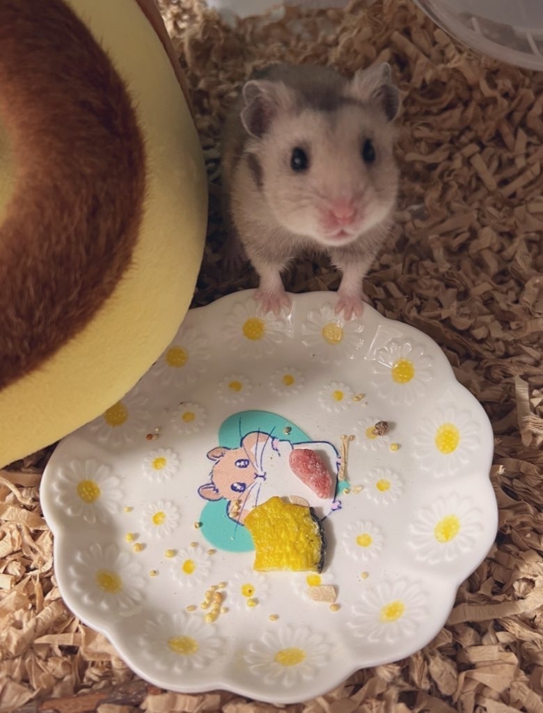 クロクマハムスターのお皿 ピンク