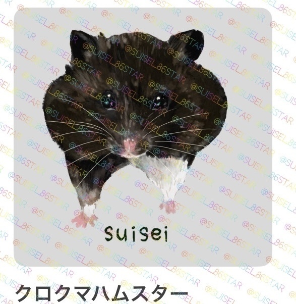 クロクマハムスターのビニールバッグ