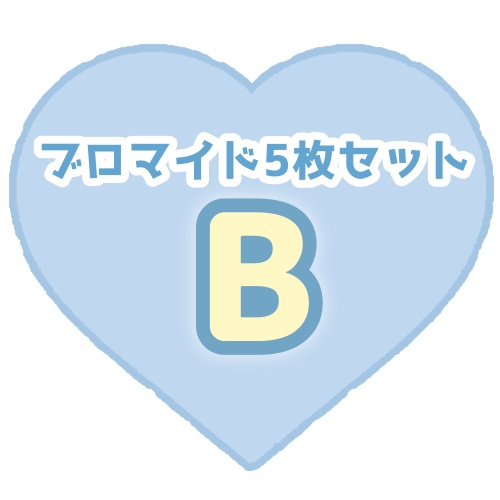 ブロマイド5枚セット🅱️