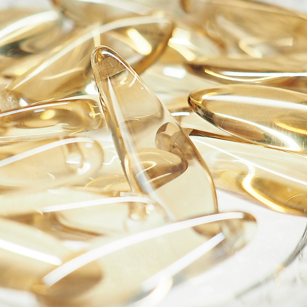 舞桜 歌仙兼定 陸奥守吉行 山姥切国広 【刀剣乱舞】