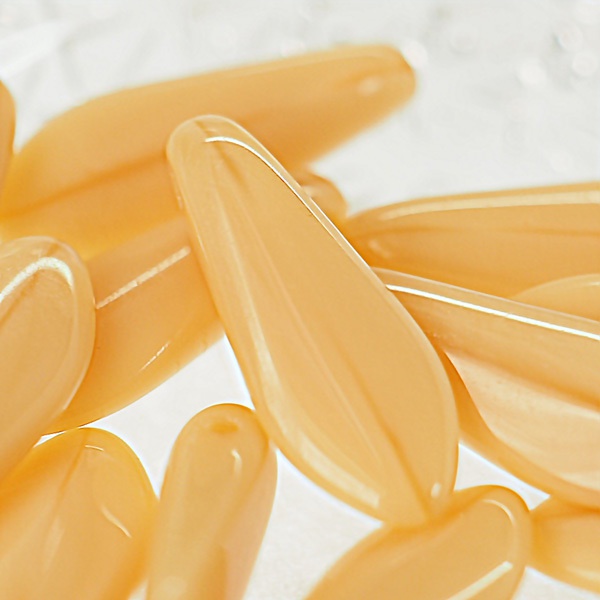 舞桜 粟田口 【刀剣乱舞】