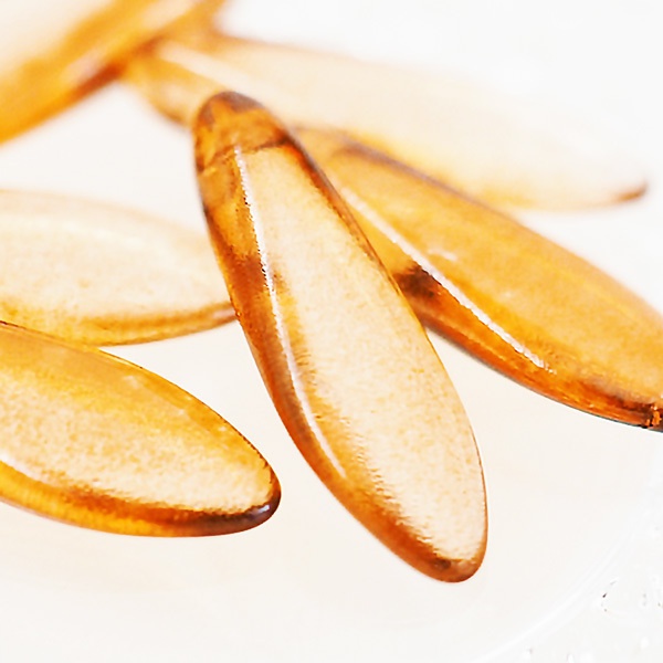 舞桜 山伏国広 同田貫正国 【刀剣乱舞】