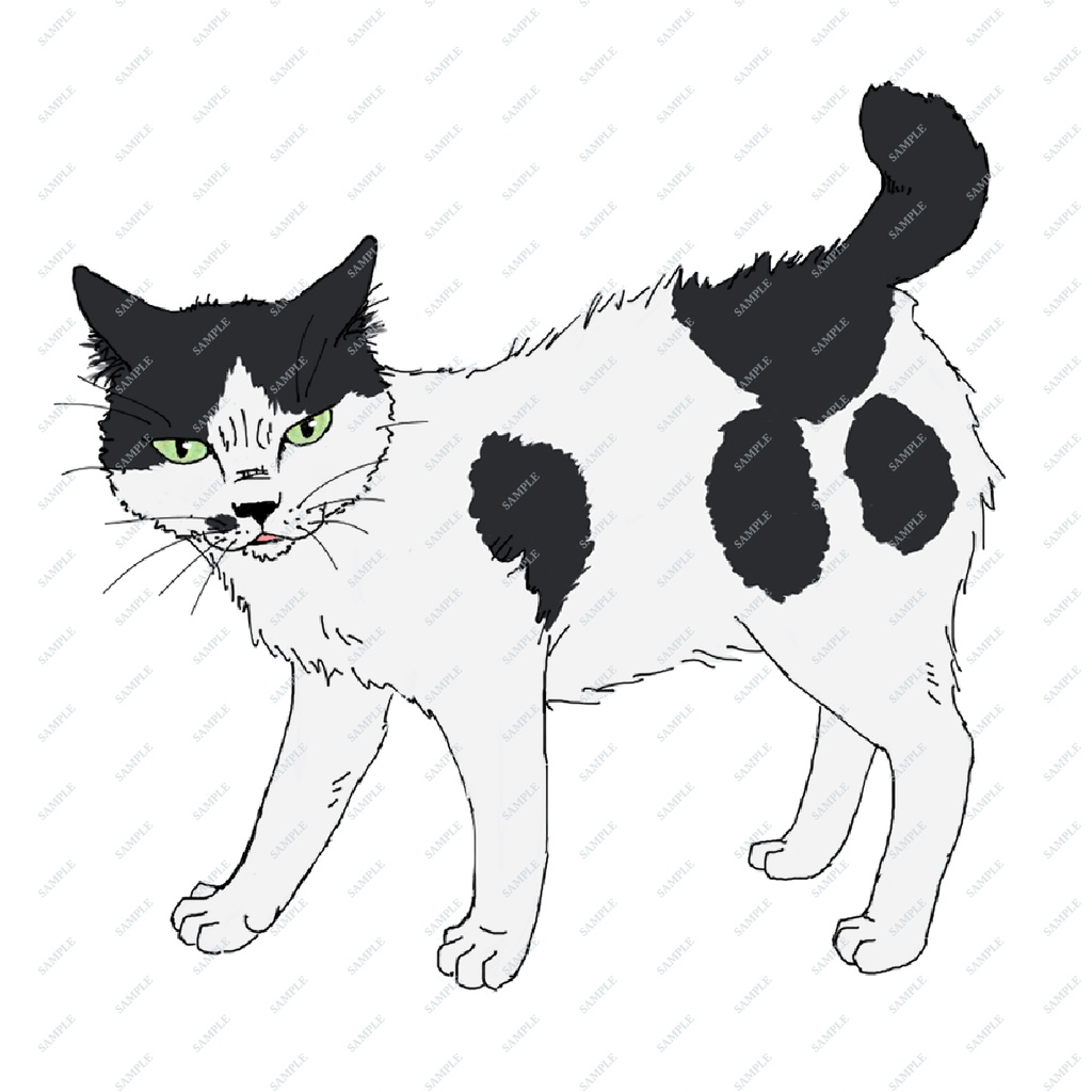 『白猫』NPC画像 SPLL:E192476