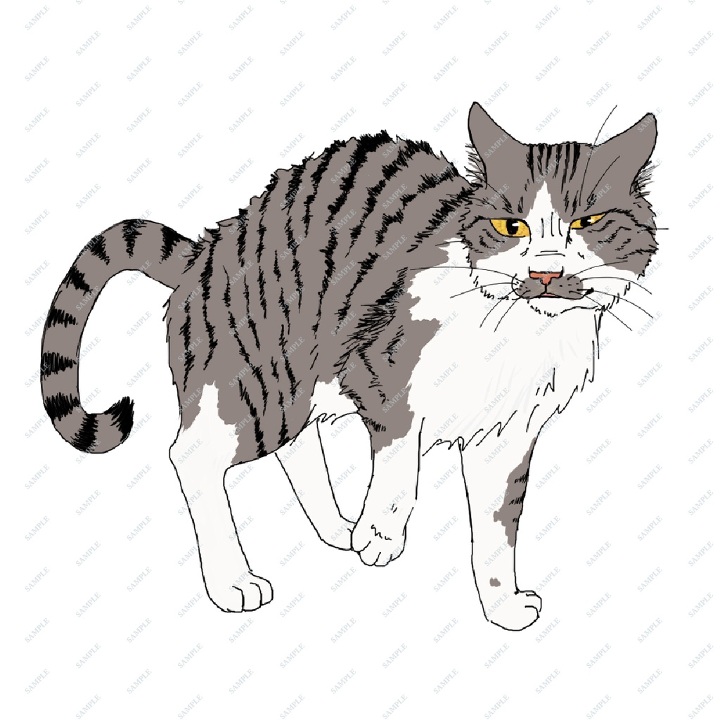 『白猫』NPC画像 SPLL:E192476