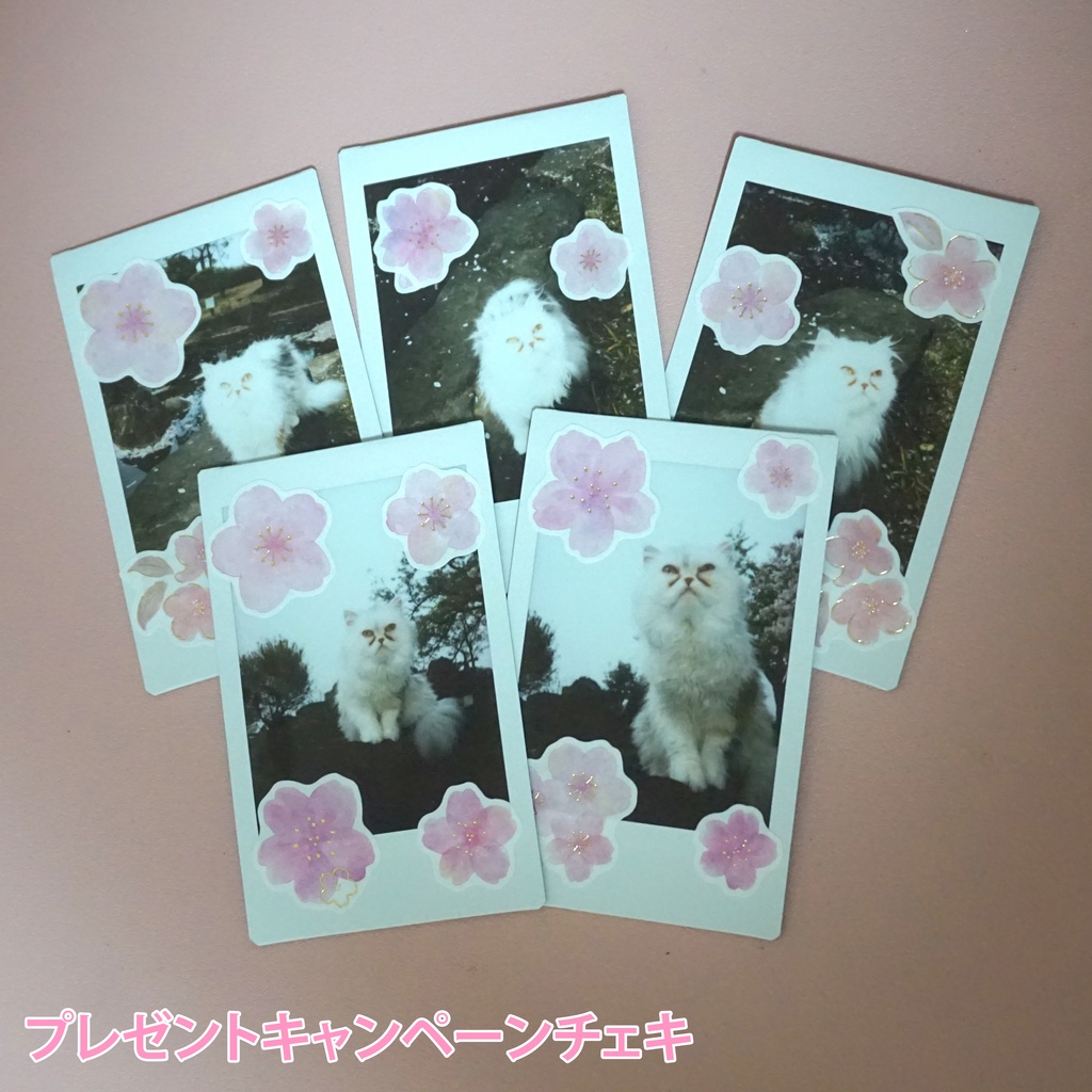 🌸2023年ジェマ・ルイーズ&ミミちゃん🌸桜コラボブロマイドと限定チェキセット🌸