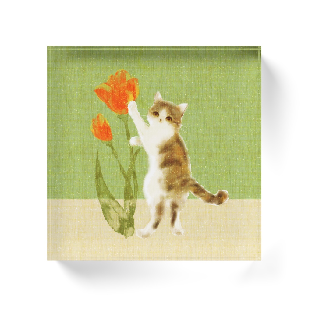 010はちわびねこ🌱アクリルブロック