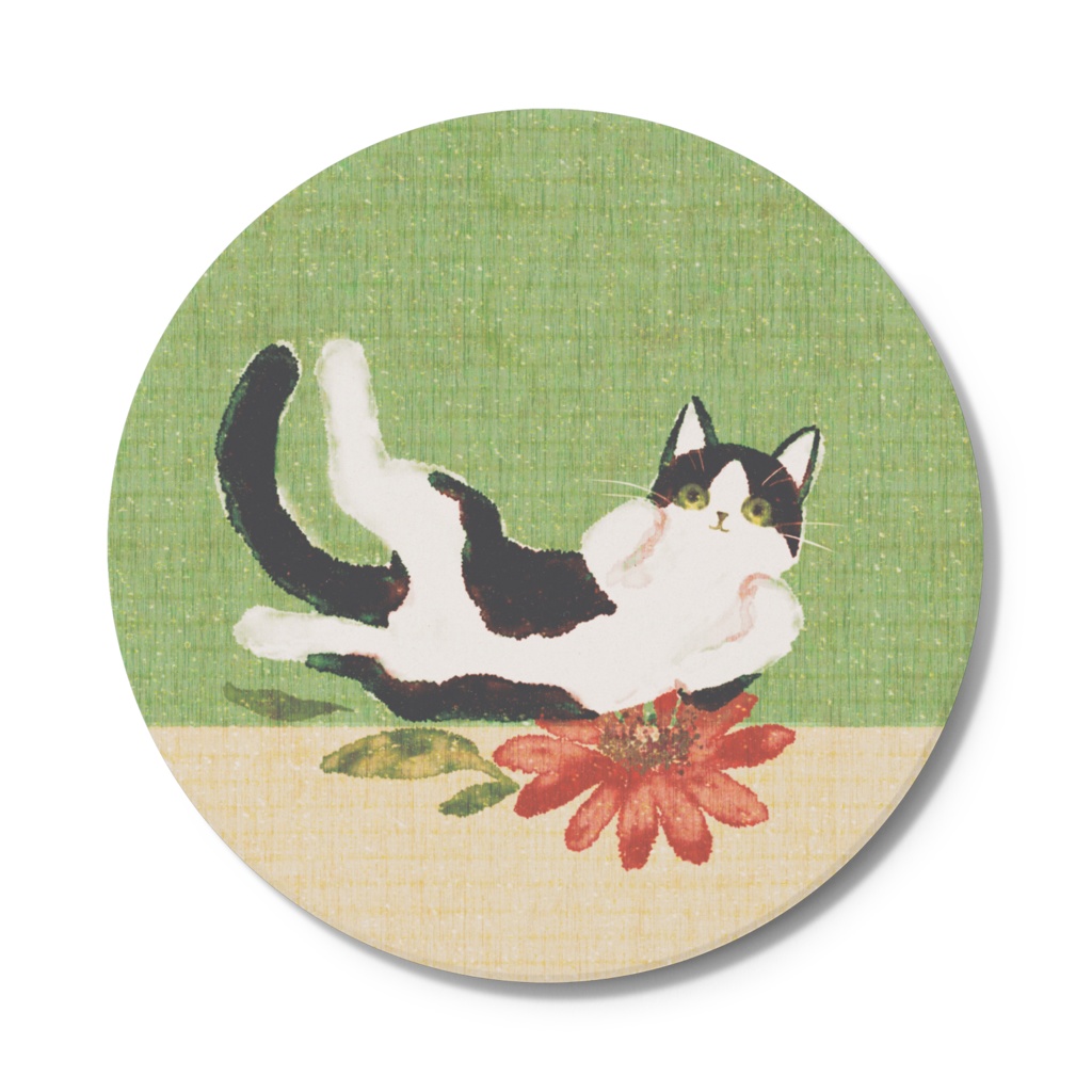 008はちわびねこ🌱コースター