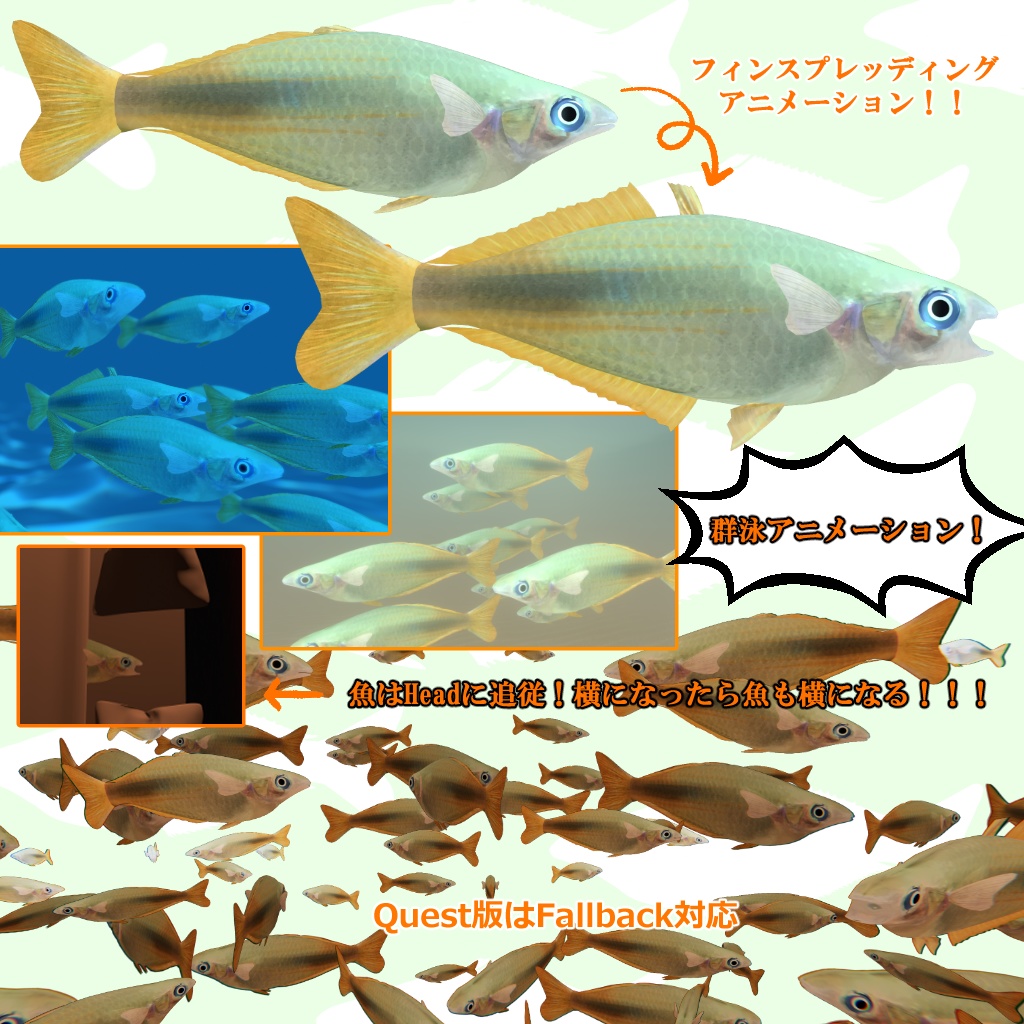 Chilatherina sp upper Tor river