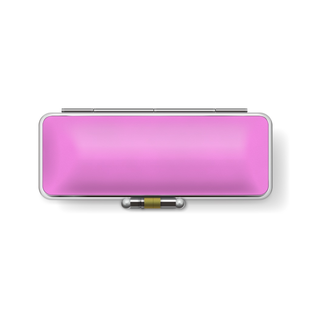 印鑑ケース 猫のムギちゃん The cat Mugi-chan