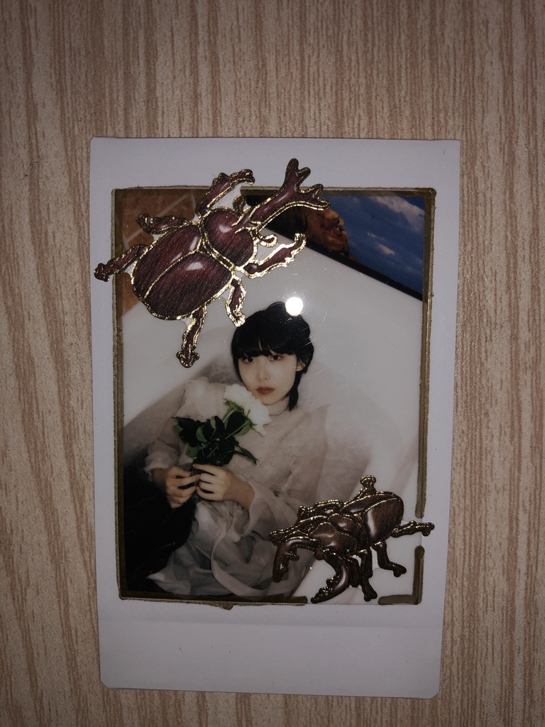 カブトムシ・ノコギリ