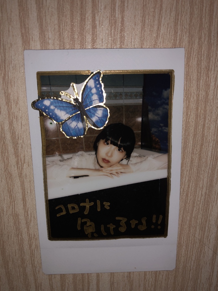 キプリスモルフォ