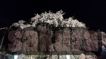 夜  漆黒の闇に辿り着く