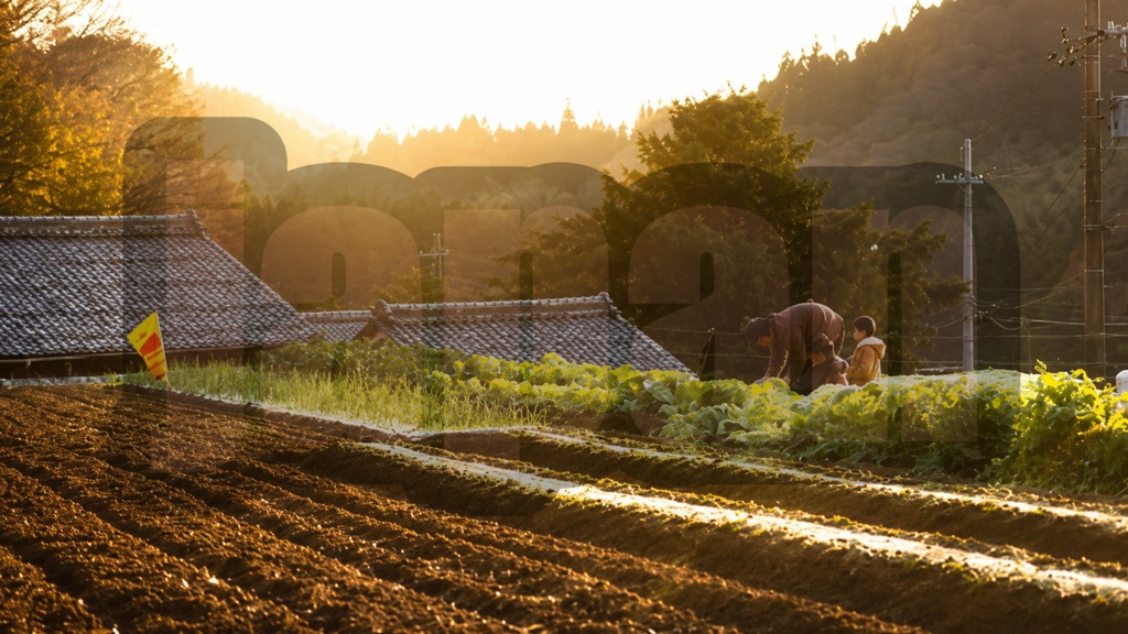 “Nurtured by the Evening Light”