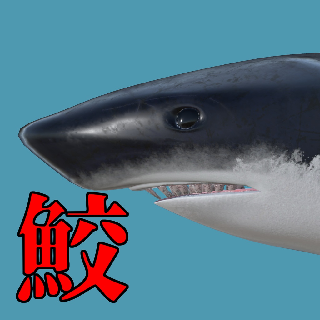 3Dモデル 鮫 [Shark]